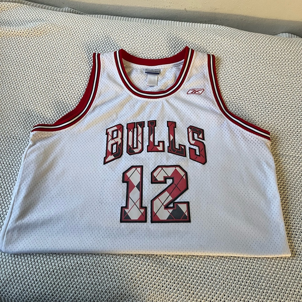 Kirk Hinrich early 2000s Bulls plaid jersey